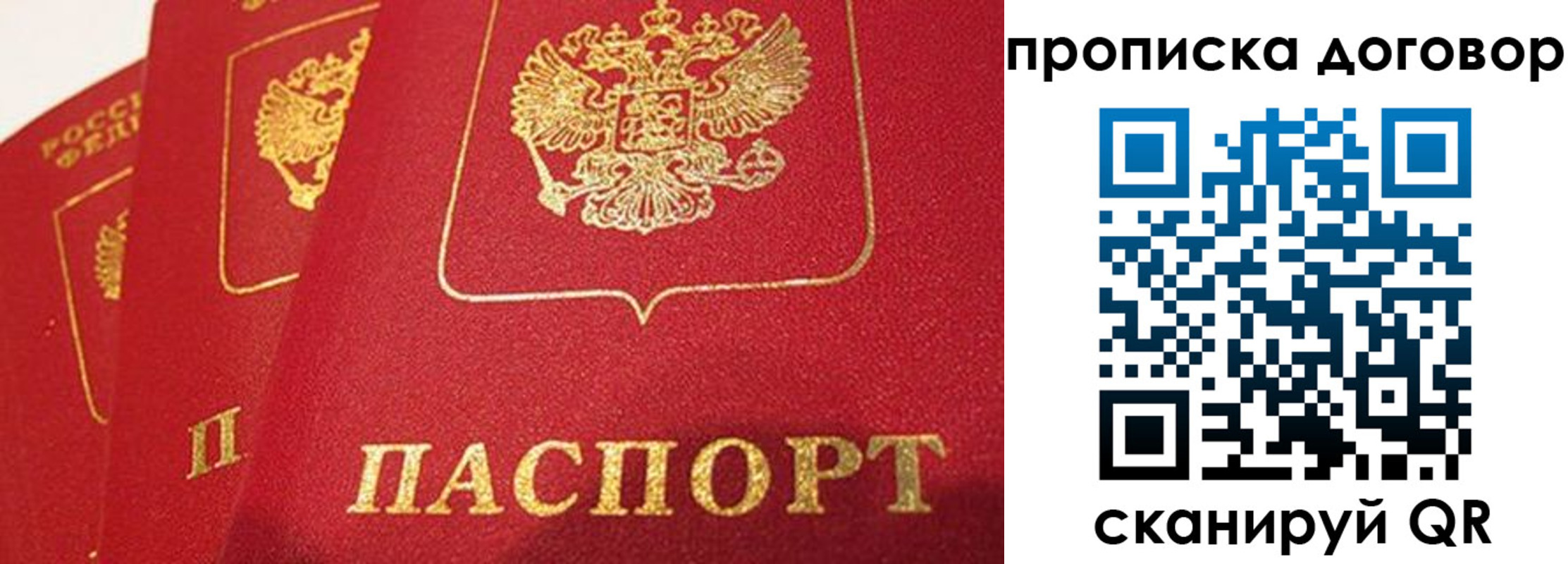 временная регистрация госуслуги в Тосно
